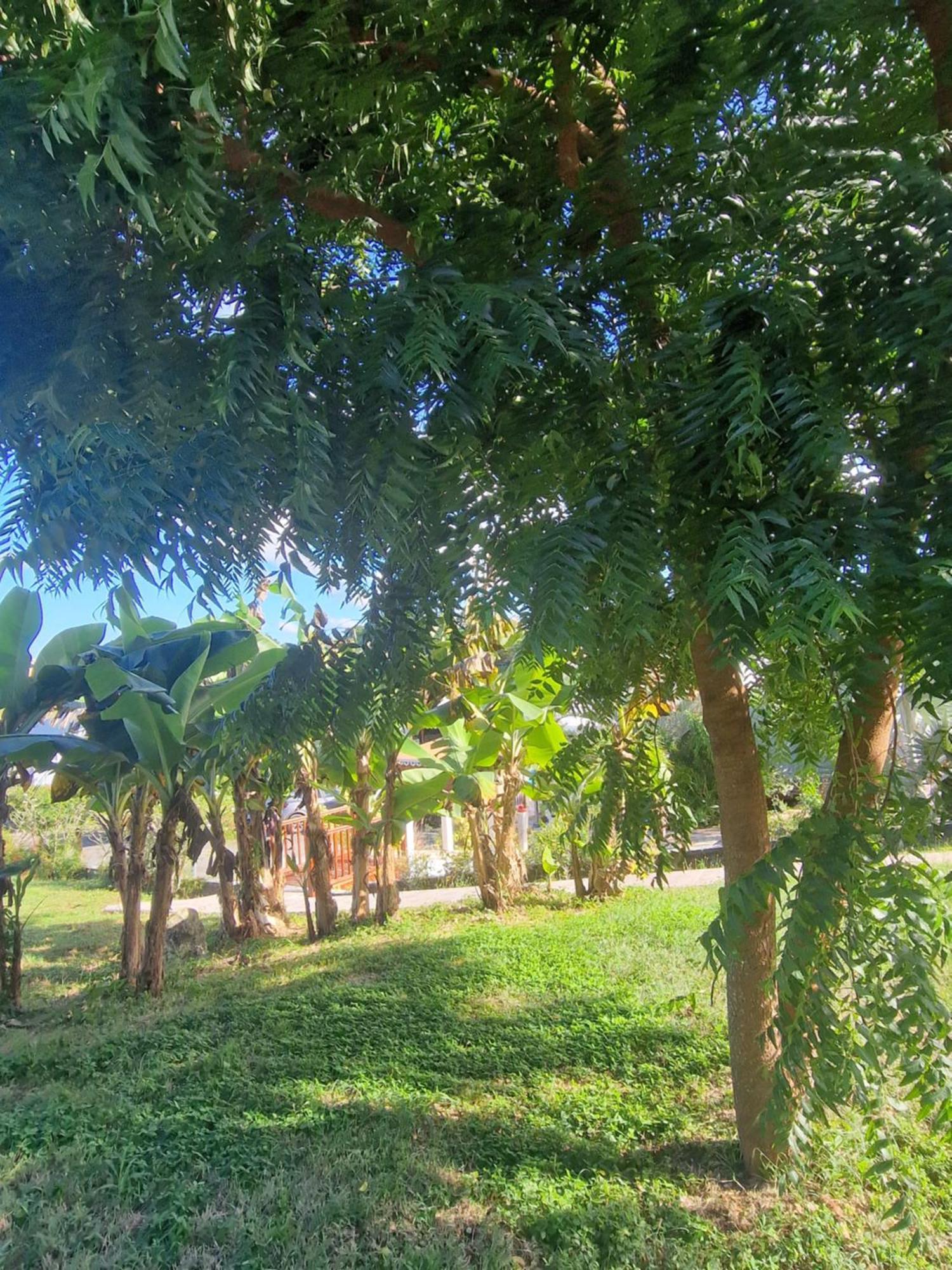 Les Villas De Boisvin Le Moule Exterior photo